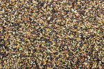 Canary Song Food Premium Canary Seed - 5 lbs | Chicken Antibiotics