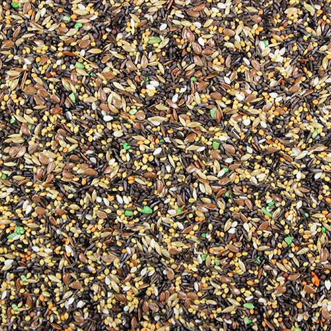Canary Song Food Premium Canary Seed - 5 lbs | Chicken Antibiotics