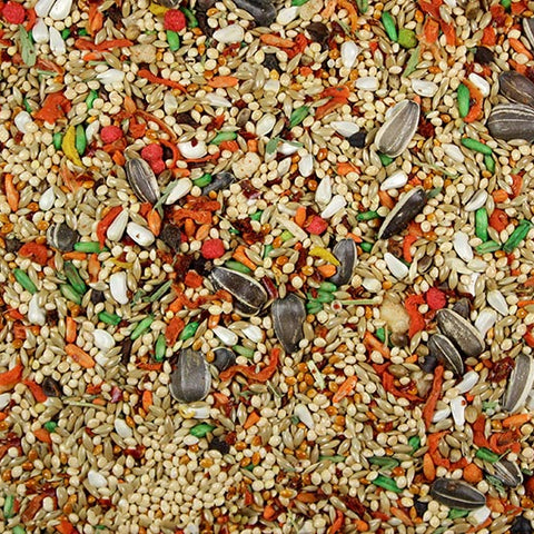 Cockatiel & Conure Cuisine Premium Cockatiel Food/Conure Food - 4 lbs | Chicken Antibiotics