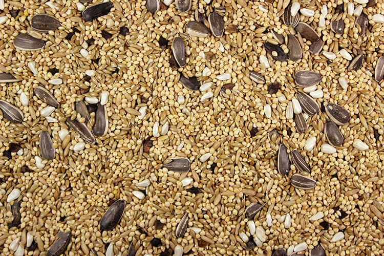 Cockatiel Mix Premium Cockatiel Food - 25 LBS | Chicken Antibiotics