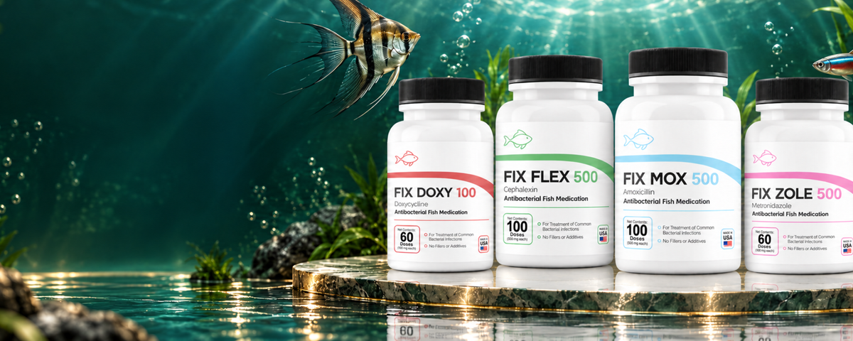 Trusted Fish Antibiotics