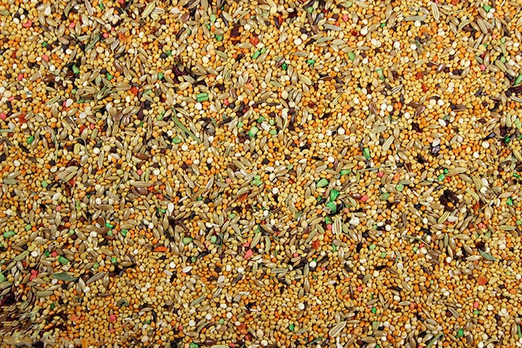 Finch Cuisine Premium Food for Finches - 4 lbs | Chicken Antibiotics