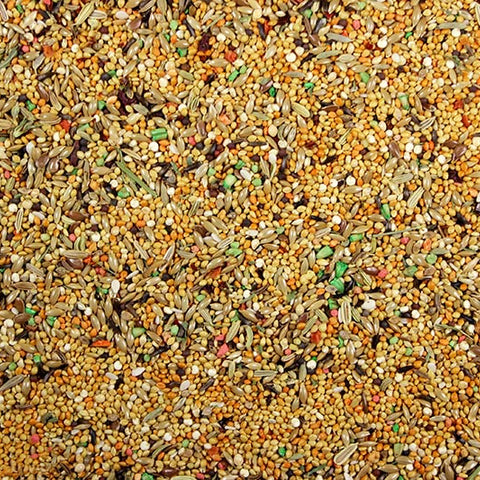 Finch Cuisine Premium Food for Finches - 4 lbs | Chicken Antibiotics