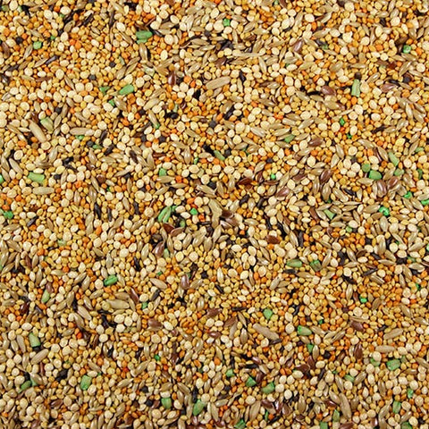 Finch Plus Finch Seed Mix - 5 lbs | Chicken Antibiotics