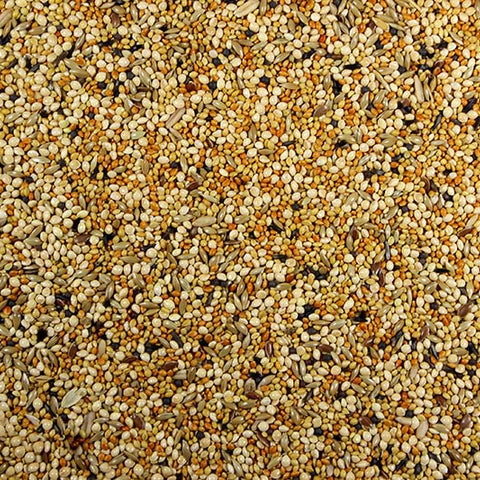 Finch with Millet Finch Seed Mix with Millet Seed - 25 lbs | Chicken Antibiotics