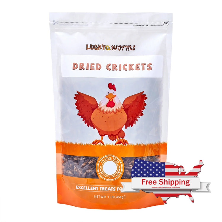 LuckyQworms 1lb Dried Crickets – High-Protein Natural Insect Feed for Chickens, Birds, Reptiles & Fish | All-Natural, Reseala