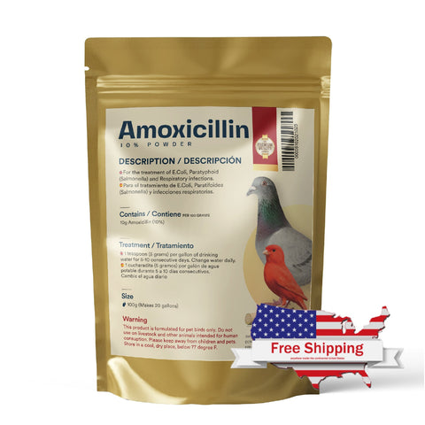 Amoxicillin 10% Powder for Broad-Spectrum Treatment for Pigeons and Pet Birds | Chicken Antibiotics