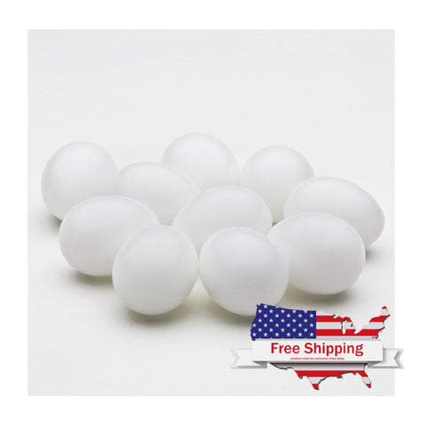 Solid Plastic Eggs by Crown - Quality Dummy Eggs for Nesting | Chicken Antibiotics