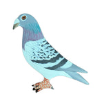 PIGEON PIN - Hand Painted - Blue Check | Chicken Antibiotics