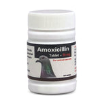 Amoxicillin Tablets: Treats Bacterial Infections in Birds | Chicken Antibiotics