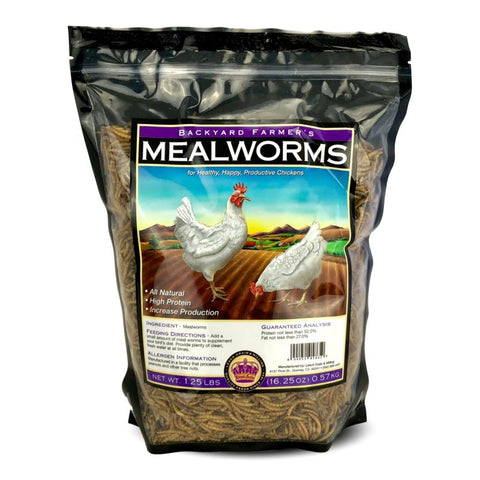 Mealworms: Dried Mealworms - 1 lb | Chicken Antibiotics