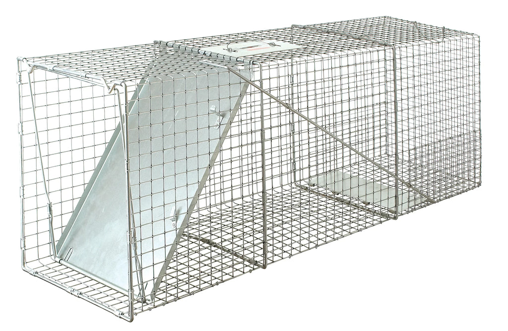 Single Door Live Animal Trap - 6x6x18 | Chicken Antibiotics