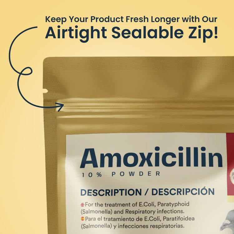 Amoxicillin 10% Powder for Broad-Spectrum Treatment for Pigeons and Pet Birds | Chicken Antibiotics