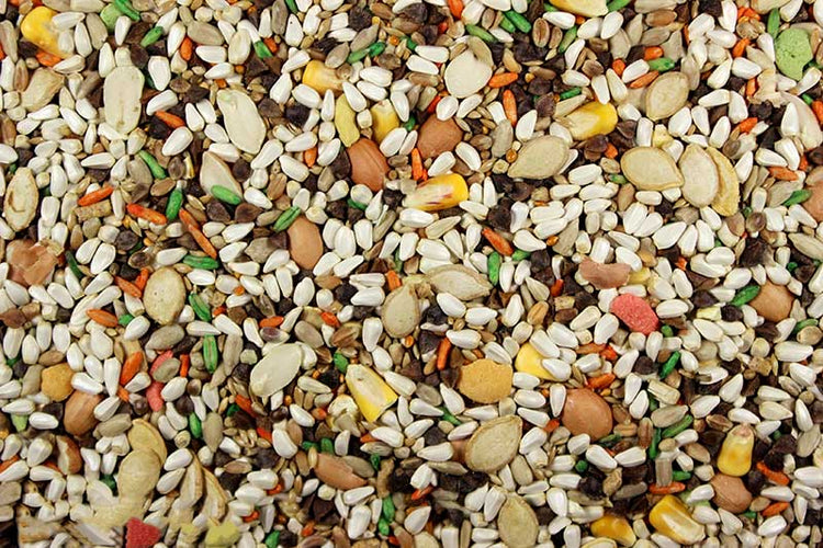 Large Hookbill Plus - 5 lbs | Chicken Antibiotics