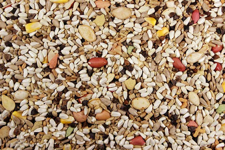 Large Hookbill Premium Hookbill Bird Food - 25 LBS | Chicken Antibiotics