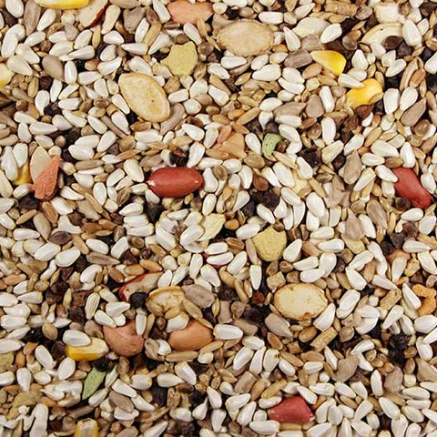 Large Hookbill Premium Hookbill Bird Food - 25 LBS | Chicken Antibiotics