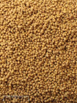 Mazuri Small Bird Breeder Premium Bird Food | Chicken Antibiotics