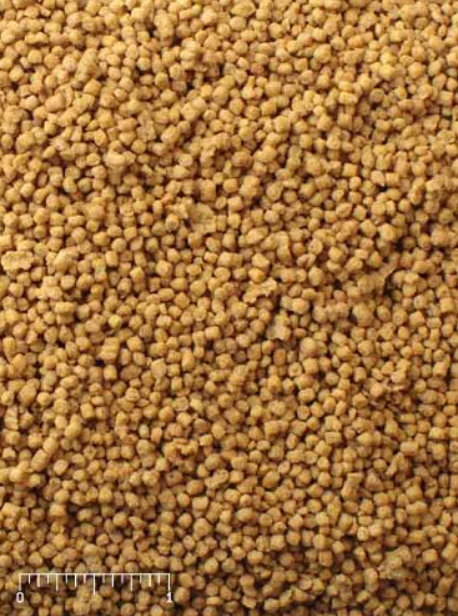 Mazuri Small Bird Breeder Premium Bird Food | Chicken Antibiotics