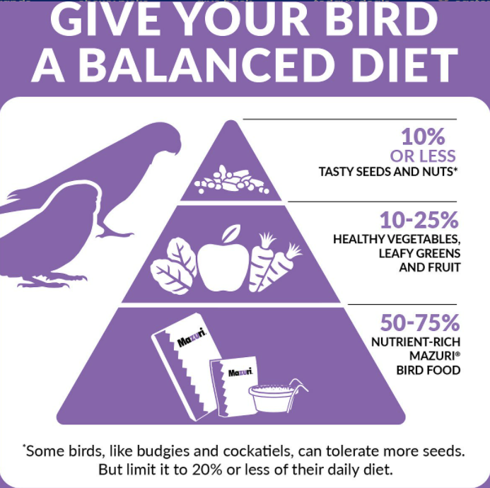 Mazuri Small Bird Diet | Chicken Antibiotics
