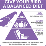 Mazuri Small Bird Diet | Chicken Antibiotics
