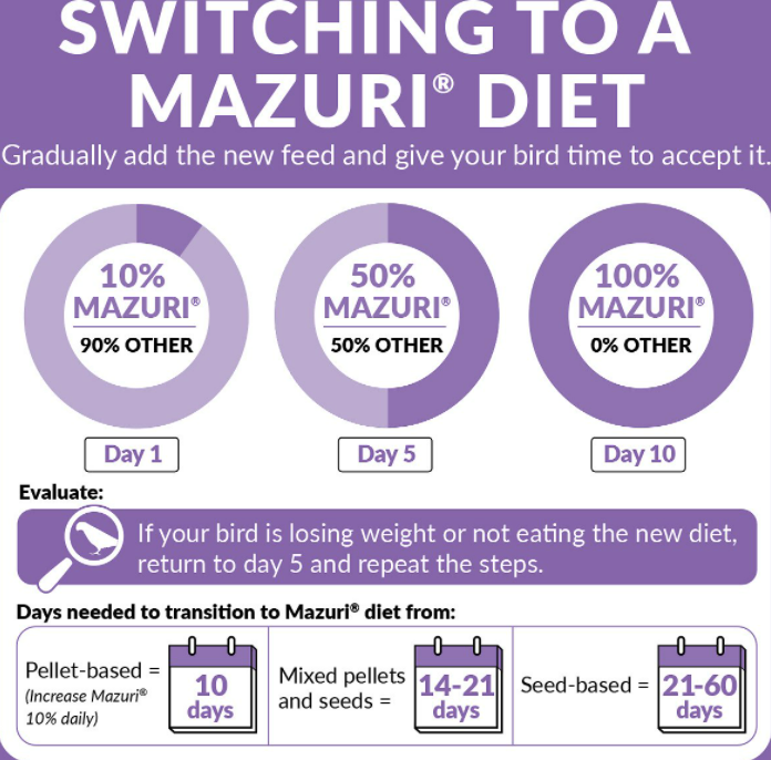 Mazuri Small Bird Diet | Chicken Antibiotics
