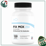 Fish Mox 250mg 100 Capsules
