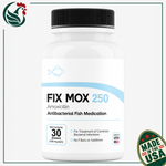 Fish Mox 250mg 30 Capsules