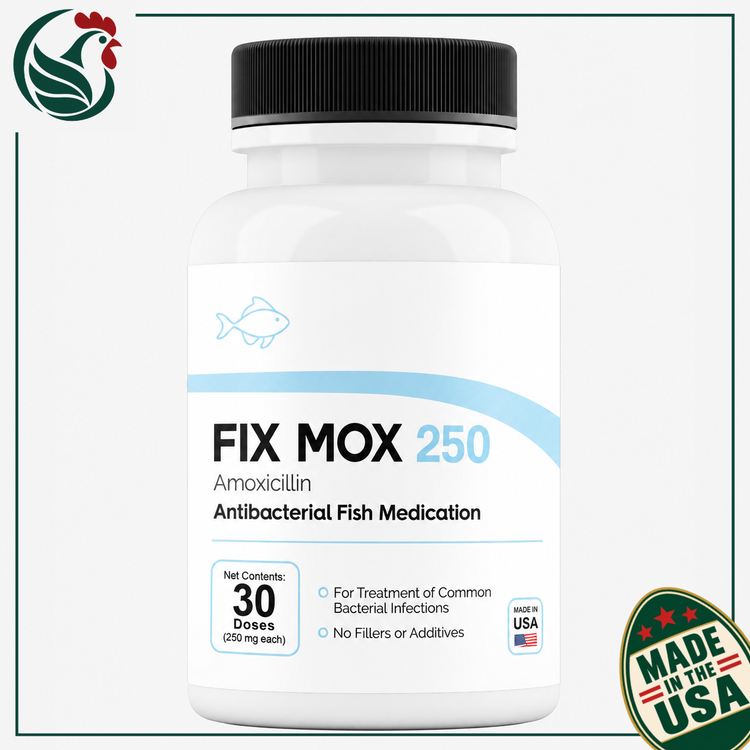Fish Mox 250mg 30 Capsules