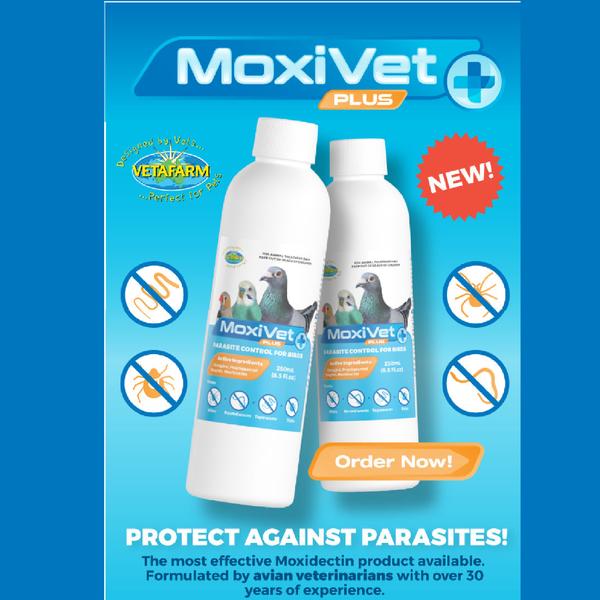 MoxiVet Plus with Moxidectin & Praziquantel | Chicken Antibiotics