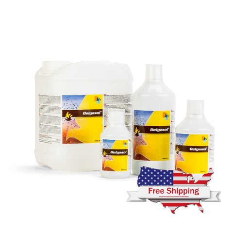 Belgica De Weerd Belgasol Electrolytes & Vitamins for Pigeons 250ml 500ml 1000ml - 250 ml | Chicken Antibiotics