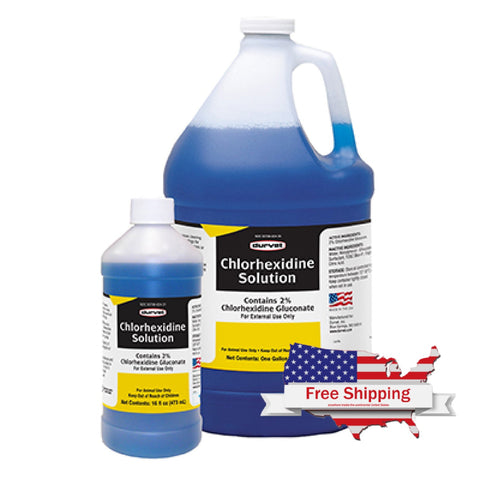 CHLORHEXIDINE DISINFECTANT (Durvet)- Chlorhexidine Solution - 16 oz | Chicken Antibiotics