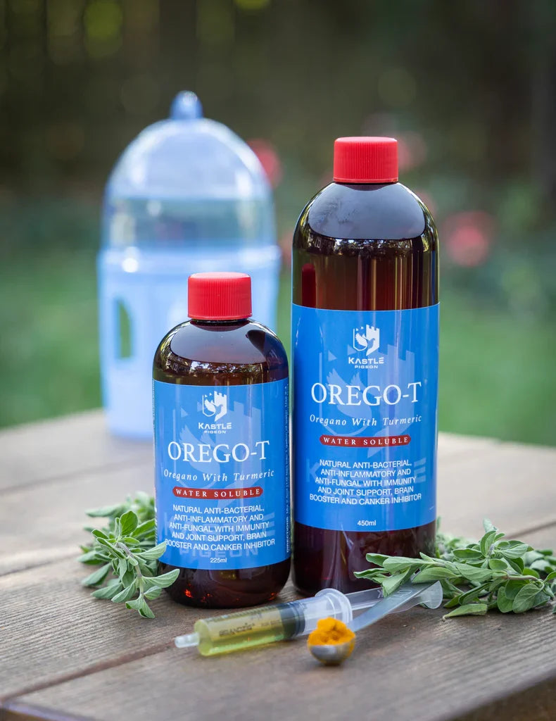 Orego-T 10% Oregano with Turmeric for Pigeons | Natural Gut Health & Immune Support in Water | Chicken Antibiotics
