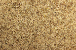 Parakeet 25.00% High-Protein Parakeet Feed - 25 lbs | Chicken Antibiotics