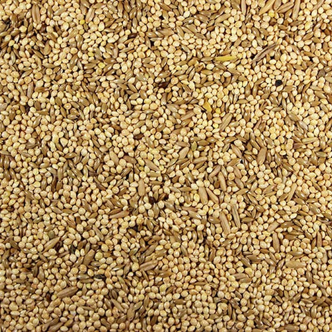 Parakeet 25.00% High-Protein Parakeet Feed - 25 lbs | Chicken Antibiotics