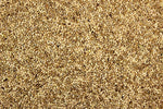 Parakeet 42.00% High-Quality Parakeet Feed/Parakeet Seed Mix - 25 lbs | Chicken Antibiotics