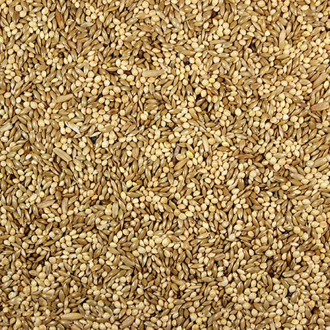 Parakeet 42.00% High-Quality Parakeet Feed/Parakeet Seed Mix - 25 lbs | Chicken Antibiotics