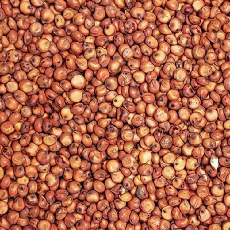 Recleaned Milo for Birds & Wildlife - 25 LBS | Chicken Antibiotics