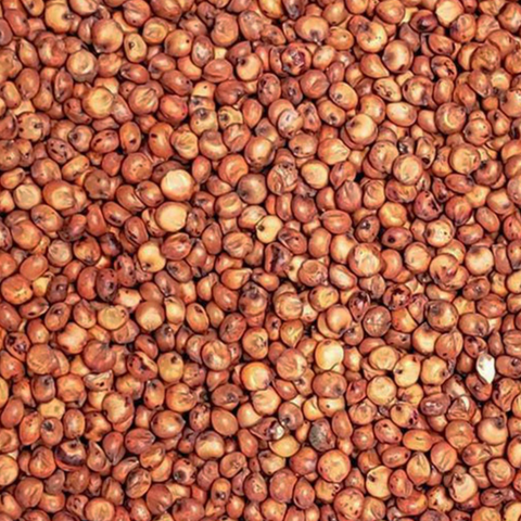 Recleaned Milo for Birds & Wildlife - 25 LBS | Chicken Antibiotics