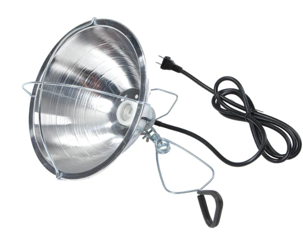 10.5" Brooder Reflector Lamp – Heat Lamp with Clamp & Ceramic Socket for Chicks | Chicken Antibiotics