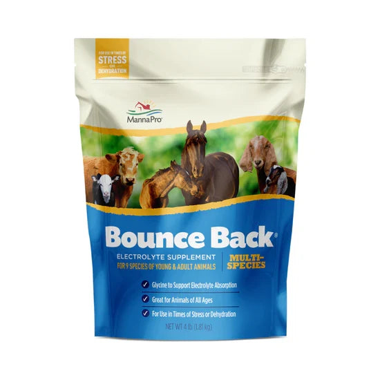 Manna Pro Bounce Back® – Electrolyte Supplement for Rehydration & Stress Relief in Animals - 4 oz | Chicken Antibiotics