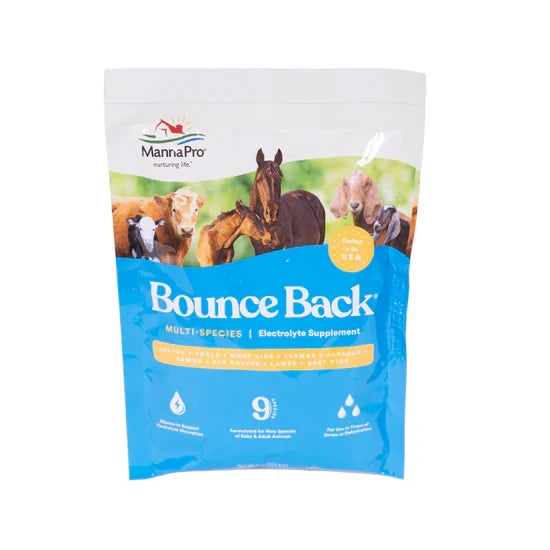 Manna Pro Bounce Back® – Electrolyte Supplement for Rehydration & Stress Relief in Animals | Chicken Antibiotics