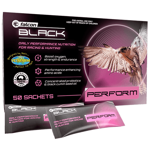 Falcon Black Perform | Vetafarm at ChickenAntibiotics.com