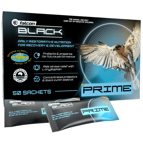 Falcon Black Prime - Stress Relief & Recovery Support for Falcons | Vetafarm at ChickenAntibiotics.com
