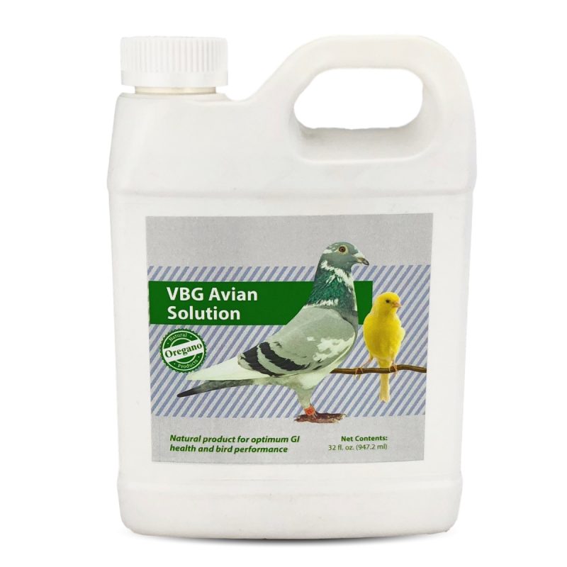 VBG Avian Solution - Natural Product with Oregano for Bird GI Health (4oz, 32oz) - 32 oz | Chicken Antibiotics