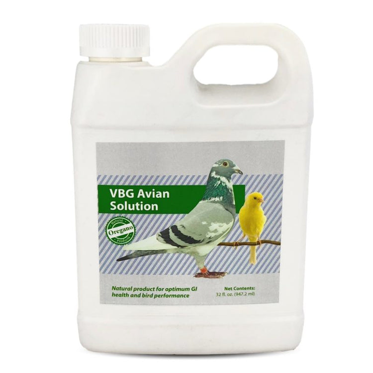 VBG Avian Solution - Natural Product with Oregano for Bird GI Health (4oz, 32oz) - 32 oz | Chicken Antibiotics