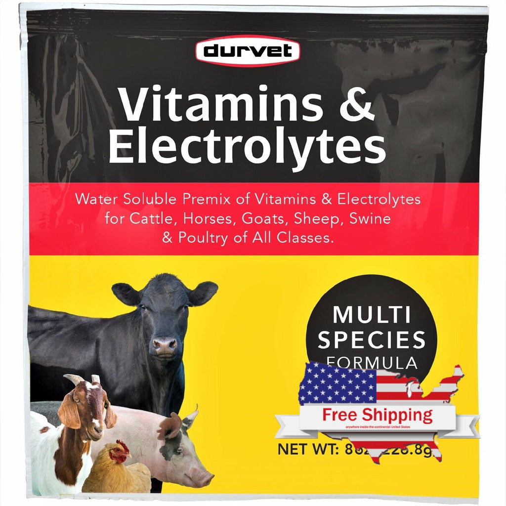 Durvet Vitamins & Electrolytes for Cattle, Horses, Sheep, Swine, Poultry (8 oz) | Chicken Antibiotics