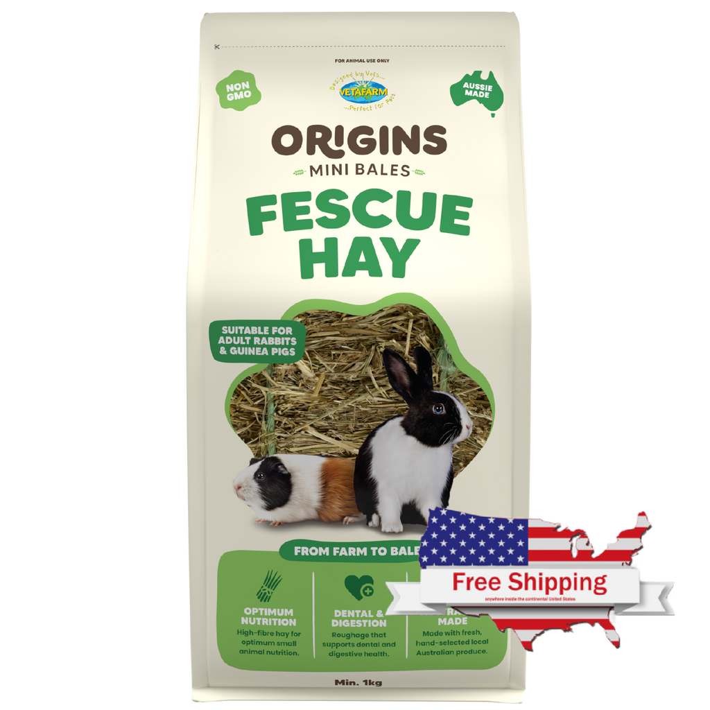 Origins Fescue Hay Mini Bale | Vetafarm at ChickenAntibiotics.com