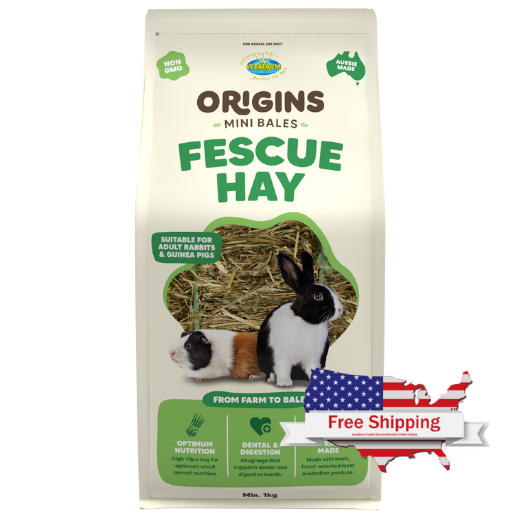 Origins Fescue Hay Mini Bale | Vetafarm at ChickenAntibiotics.com