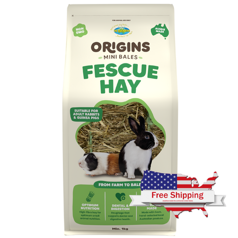 Origins Fescue Hay Mini Bale | Vetafarm at ChickenAntibiotics.com