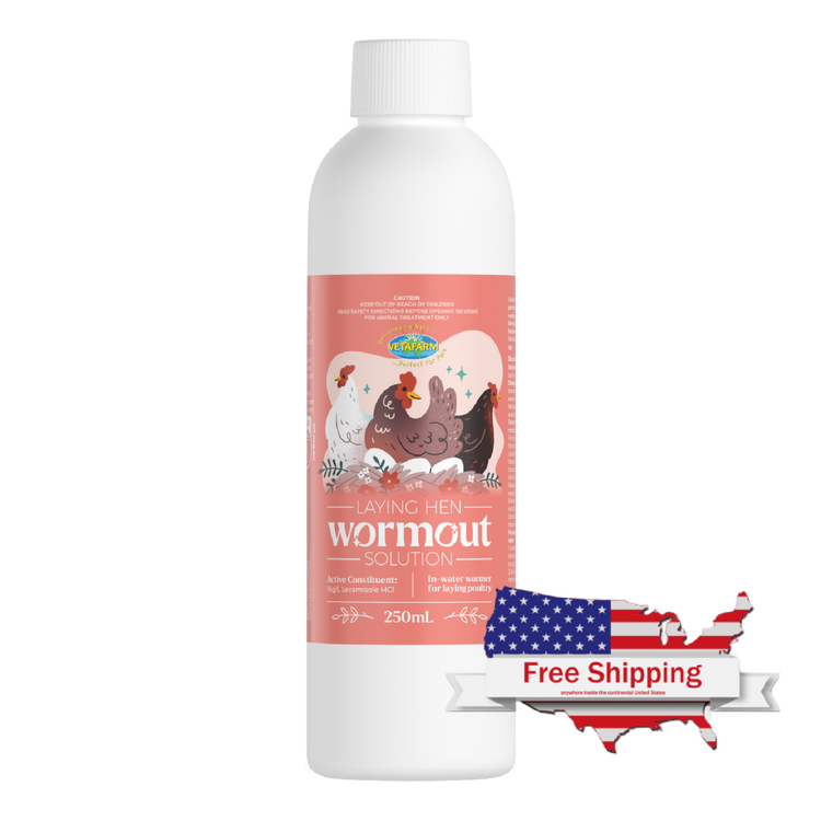 Laying Hen Wormout Solution - No Withholding Period on Eggs (Vetafarm): Treats Intestinal Worms - 250ml | Chicken Antibiotics